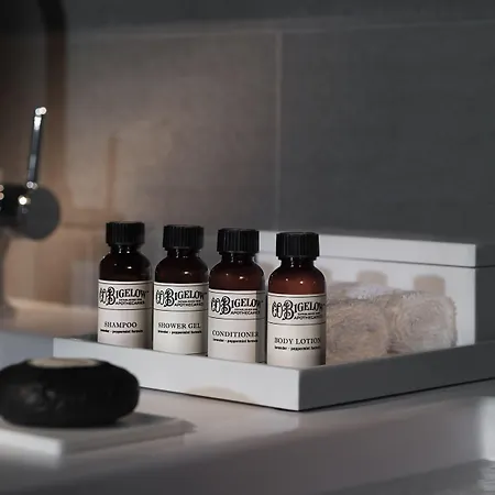 بولمان برج إيفل فندق 4*