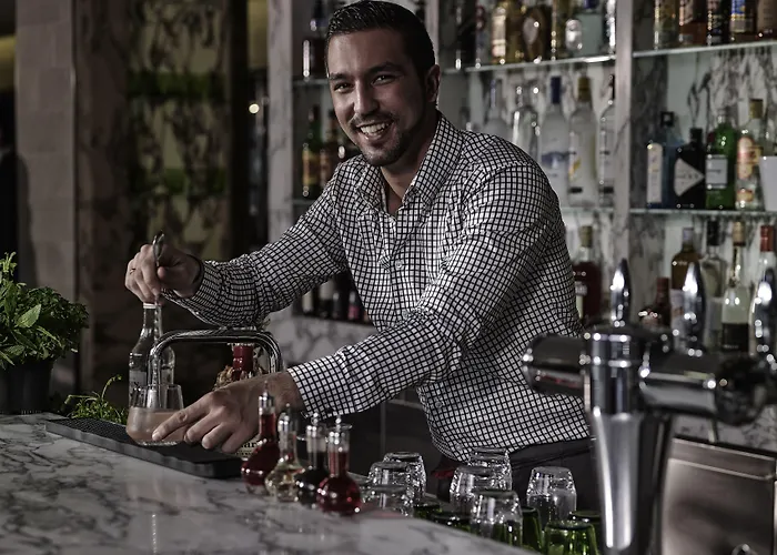 Hotel Pullman Tour Eiffel Paris