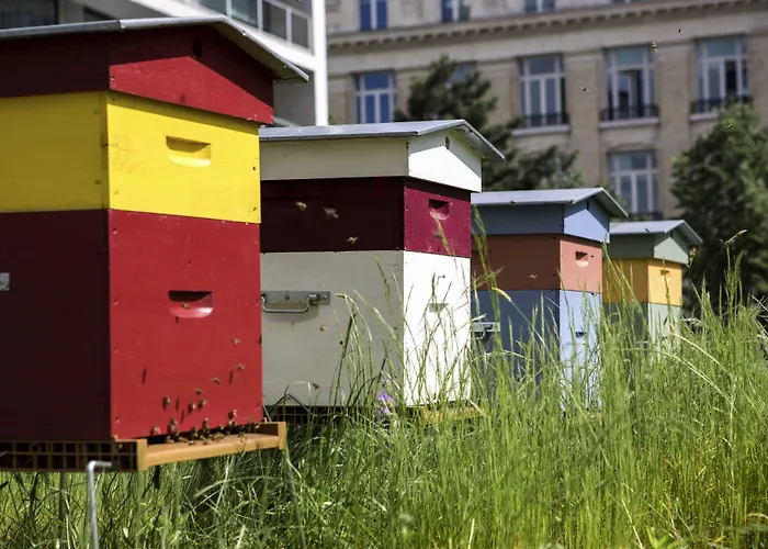 Pullman Tour Eiffel París